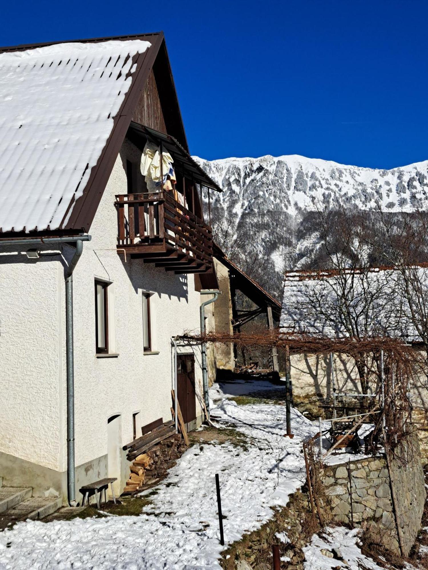 Hikers Hut Hisar Apartment Podbrdo Exterior foto